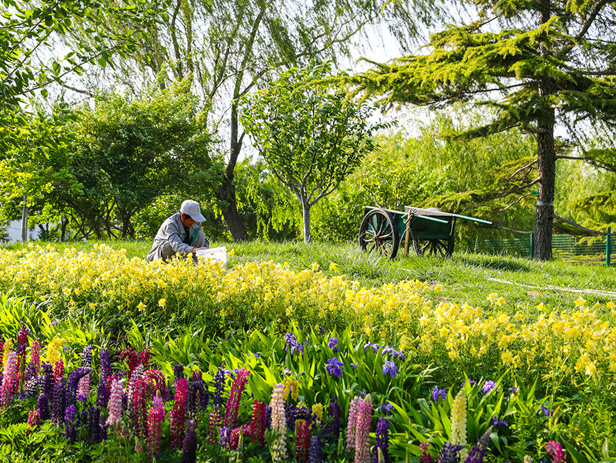 美汐清潔綠化服務 美汐清潔綠化服務